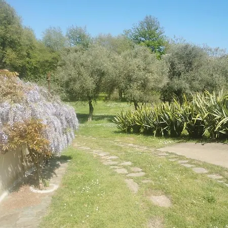بيت للعطل Maison De 3 Chambres Avec Piscine Partagee Terrasse Et Wifi A Ocagnano *