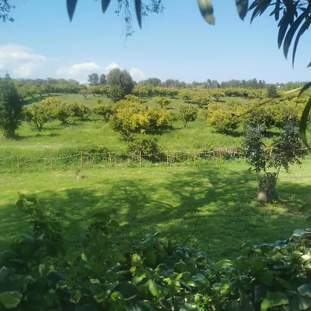 بيت للعطل Maison De 3 Chambres Avec Piscine Partagee Terrasse Et Wifi A Ocagnano *